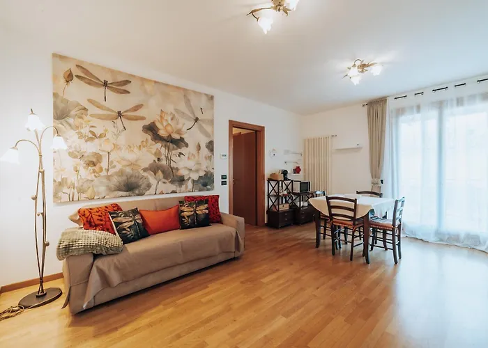 Ohana مونتيكيو ماجوري